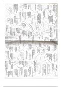 Two summary mindmaps for the Religious Experience topic from Philosophy from OCR Religious Studies