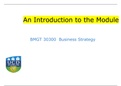An Introduction to the Module  BMGT 30300 Business Strategy