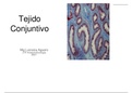 Tejidos - Hisotologia 
