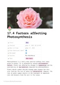 A Level OCR A Biology - 17.4 Factors Affecting Photosynthesis
