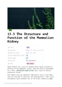 A Level Biology OCR A - The Structure and Function of the Mammalian Kidney (15.5)