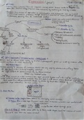 Corrosion: Handwritten class notes Engineering Chemistry 
