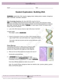  Building DNA Vocabulary: double helix, DNA, enzyme, lagging strand, leading strand, mutation, nitrogenous base, nucleoside, nucleotide, replication