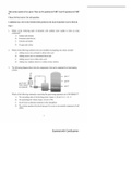 IGCSE Chemistry mock examination ( elaborations included) 