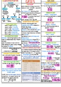 General Chemistry II Notes (ALL TOPICS & DETAILED)