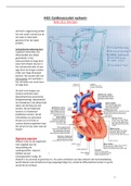 Samenvatting H10: Cardiovasculair systeem/Hart Veterinaire fysiologie B  (2020-2021)