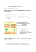 Regeling en waarneming: homeostase en hormonale regulatie (5 VWO)