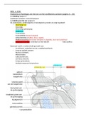 Samenvatting Anatomie (Openboek examen)