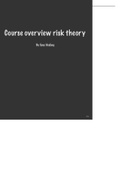Summary Risk Theory taught at UvA 2021