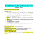 NR 341 NERVOUS SYSTEM NOTES&period;