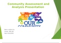 Summary  NRS 428 VN  Community Assessment and Analysis Presentation (Lizetter).