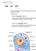Biology-cell
