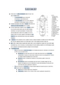 Biologie samengevat samenvatting hoofdstuk 1 t/m 18, 6vwo Biologie
