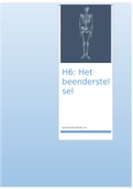 H6 Beenderstelsel - Anatomie en Fysiologie 