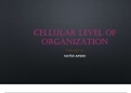 Cellular level of organization