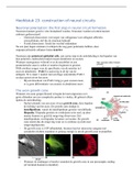 NEUROBIOLOGIE - Samenvatting boek &plus; hoorcollege hoofdstuk 23 Construction of neural circuits