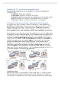 NEUROBIOLOGIE - Samenvatting boek &plus; hoorcollege hoofdstuk 22 Early brain development 