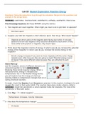 Lab 22: Student Exploration: Reaction Energy GIZMO With Verified Answers