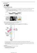 A2 Alevel Physics Medical imaging Notes