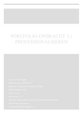 Portfolio-opdracht 3.1 Professionalisering (cijfer 9,6)