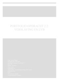 Portfolio-opdracht 2.2 Verslaving en LVB (cijfer 8,3)