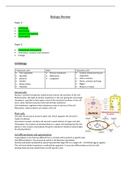 gcse biology aqa summary of specification and notes 