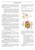L.AS - Fiches physiologie digestive 