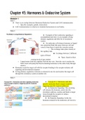 Hunter College Bio 102 Sheppard Chapter 45- Hormones and Endocrine System Notes