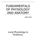 F&period; of Physiology and Anatomy of the Respiratory System