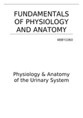 F. of Physiology & Anatomy of the Urinary System