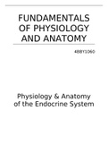 Physiology & Anatomy of the Endocrine System