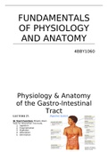F&period; of Physiology & Anatomy of the Gastrointestinal Tract