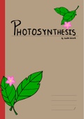 IB biology photosynthesis notes