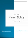 Human Biology - All Diagrams Merged (IGCSE)