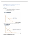 Understanding the Information Economy Indifference Curves and Budget Line Lecture Notes