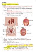   Final Exam Adult   study Renal function Overview powerpoint&comma; study&excl;&excl;&excl;EXAM&excl;&excl;&excl;