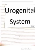 Summary  ANA 161 (Anatomy): Urogenital system