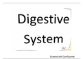 Summary  ANA 161 (Anatomy): Digestive system