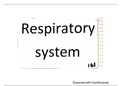 Summary  ANA 161 (Anatomy): Respiratory system