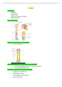 Samenvatting Anatomie en fysiologie voor het MBO, ISBN: 9789043037303  anatomie (het skelet)