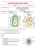 Cambridge AS Level Biology Notes: Cell structure explained by an A* student