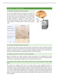Leerdoelen Medisch HC 5 - Visuele cortex uitgewerkt (Marc Veenstra)