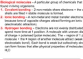 Summary AQA A Level Biology: Unit 1 - Biological molecules