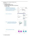 Biochemistry metabolic pathways study guide/ summary