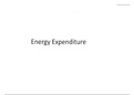 Energy expenditure notes