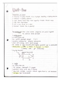 Unit 1 Biology Notes