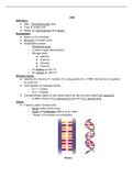 DNA Biology Class Notes