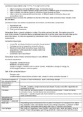 Summary lecture 2: connective tissue (histology)