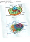 Ch 2 Structure and Function of Cells