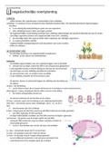 bio 4vwo h2 voortplanting samenvatting